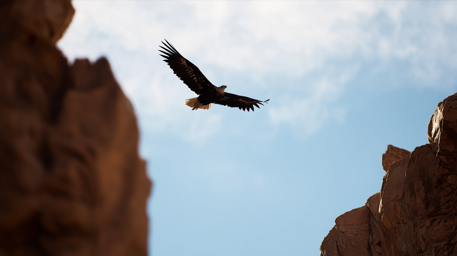 Serie: atelier — toma B